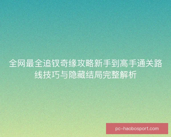 全网最全追钗奇缘攻略新手到高手通关路线技巧与隐藏结局完整解析